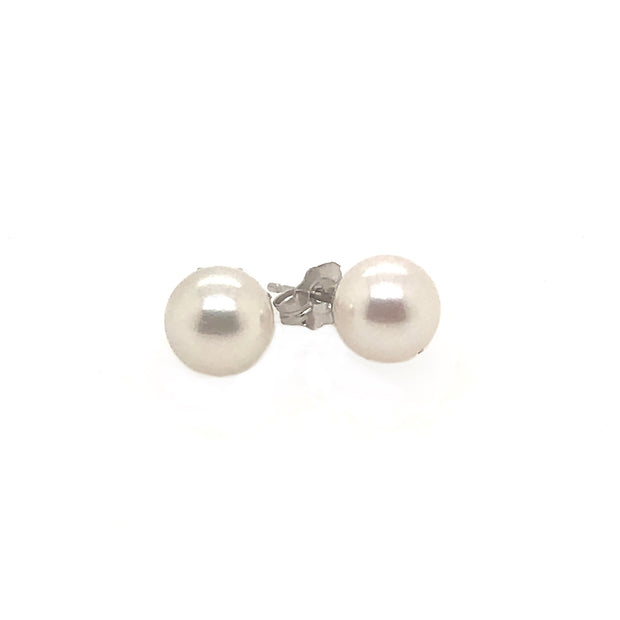 White Gold 6 - 6.5 MM Pearl Stud Earrings