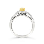 White/Yellow Gold Fancy Yellow Diamond Halo Ring