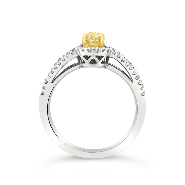 White/Yellow Gold Fancy Yellow Diamond Halo Ring