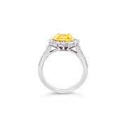 White/Yellow Gold Fancy Yellow Diamond Halo Ring