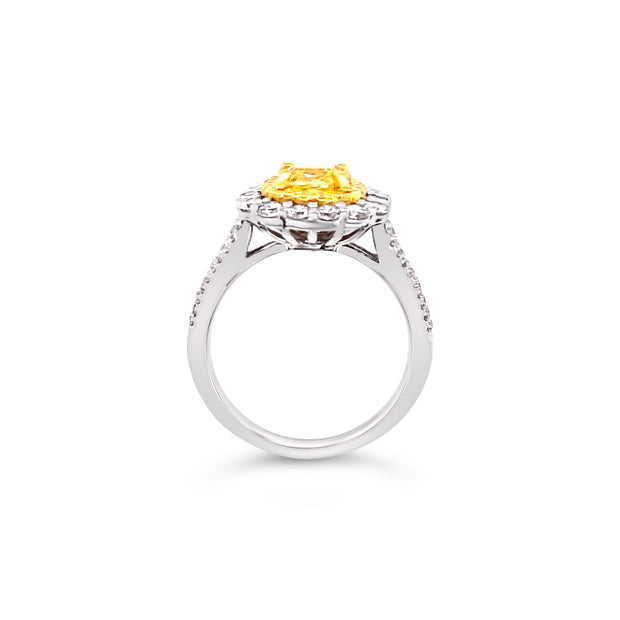 White/Yellow Gold Fancy Yellow Diamond Halo Ring