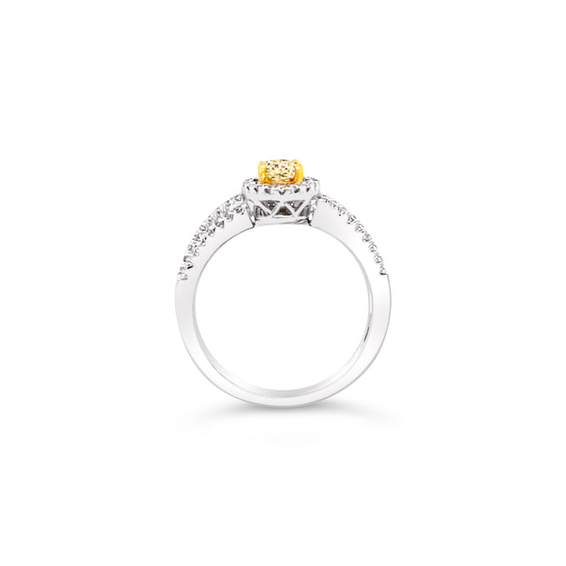 White/Yellow Gold Fancy Yellow Diamond Halo Ring