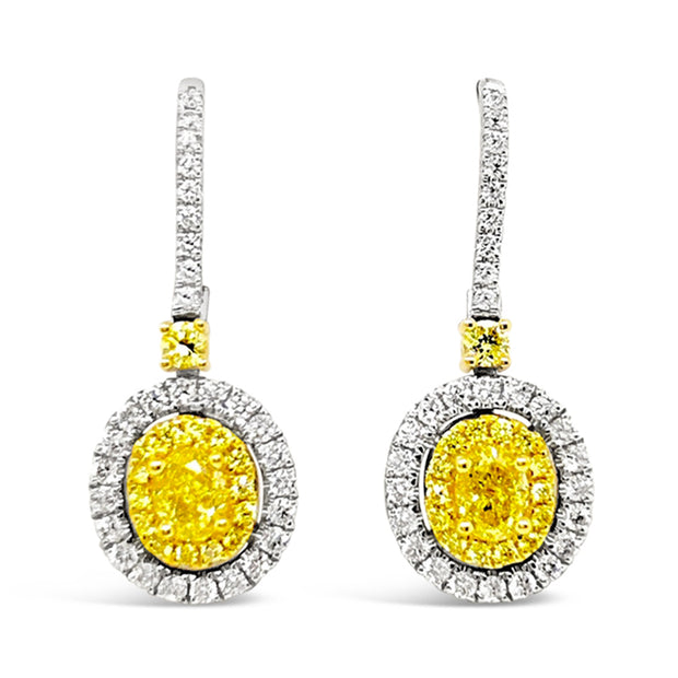 White/Yellow Gold Fancy Yellow Diamond Halo Drop Earrings