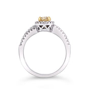 White/Yellow Gold Fancy Yellow Diamond Halo Ring