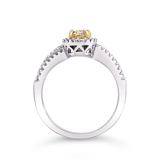 White/Yellow Gold Fancy Yellow Diamond Halo Ring