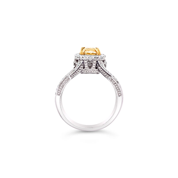 White/Yellow Gold Fancy Yellow Diamond Halo Ring