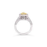 White/Yellow Gold Fancy Yellow Diamond Halo Ring