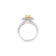 White/Yellow Gold Fancy Yellow Diamond Halo Ring