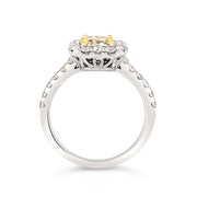 White/Yellow Gold Fancy Color Diamond Halo Ring