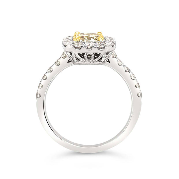 White/Yellow Gold Fancy Color Diamond Halo Ring