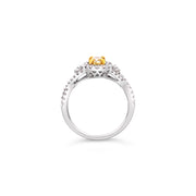 White/Yellow Gold Fancy Yellow Diamond Halo Ring