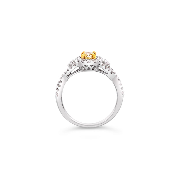 White/Yellow Gold Fancy Yellow Diamond Halo Ring