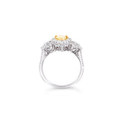 White/Yellow Gold Fancy Yellow Diamond Halo Ring