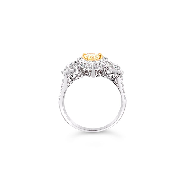 White/Yellow Gold Fancy Yellow Diamond Halo Ring