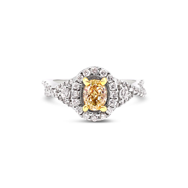 White/Yellow Gold Fancy Yellow Diamond Halo Ring