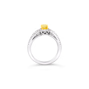 White/Yellow Gold Fancy Yellow Diamond Halo Ring