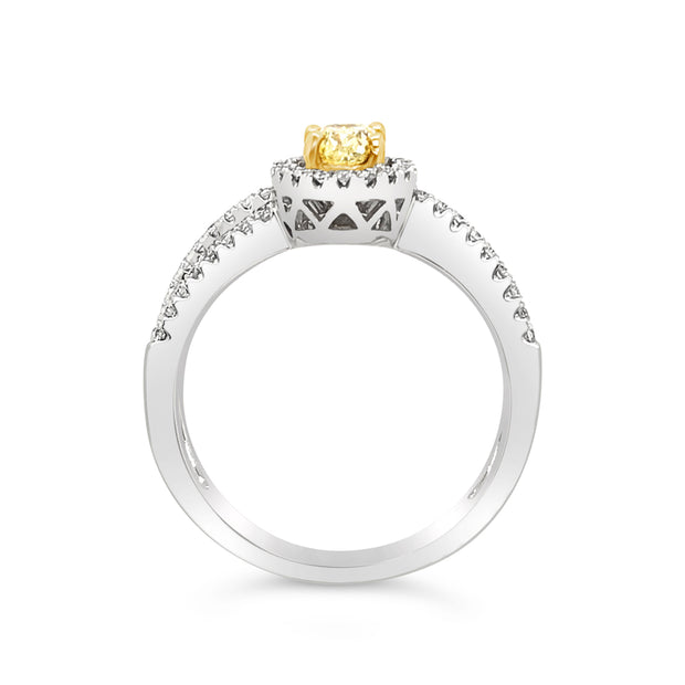 White/Yellow Gold Fancy Yellow Diamond Halo Ring