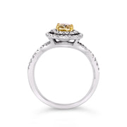 White/Yellow Gold Fancy Yellow Diamond Halo Ring