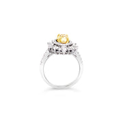 White/Yellow Gold Fancy Yellow Diamond Halo Ring