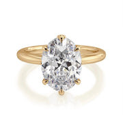 Michael M. "Monarch" Engagement Ring